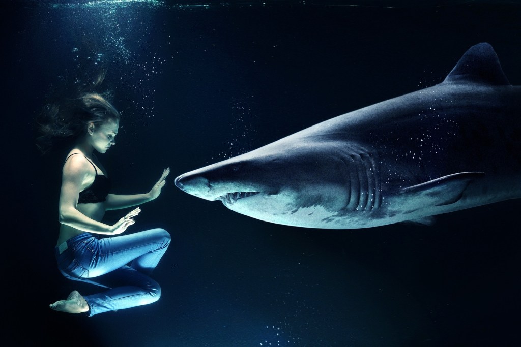 woman-shark-meditation-peace-water-rebel-resist